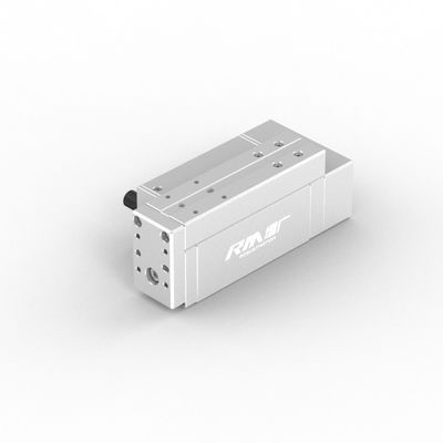 RobustMotion RM-RPLA Electric Industrial Linear Actuator với bộ điều khiển tích hợp, sức mạnh tối đa 300N