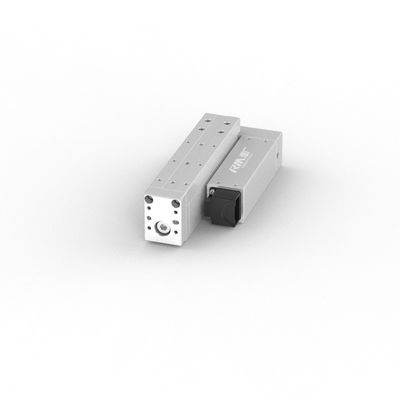 RobustMotion Công nghiệp High Spped Linear Actuator Độ chính xác cao ± 0.02mm để đẩy và kéo