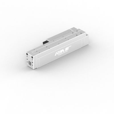RM-RPLA 24V Servo Motor Electric Linear Slide Actuator, trục duy nhất để đẩy, nhấn