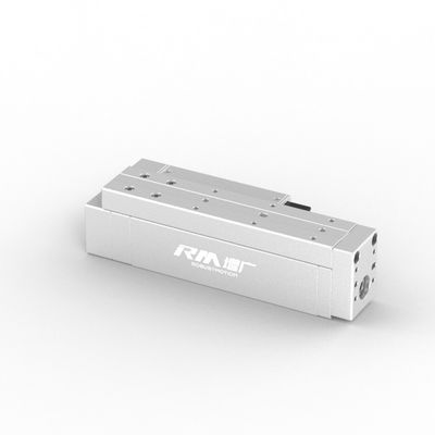 RobustMotion Single Axis Electric Linear Cylinder, Long-stroke, tốc độ cao và chính xác cao RM-RPLA